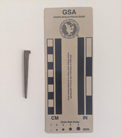 Corroded nail with a medium sized spur and rectangular shaft that narrows to a blunt tip. 