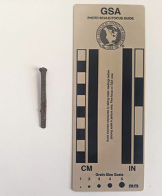 Corroded nail with a rose head with a star.
