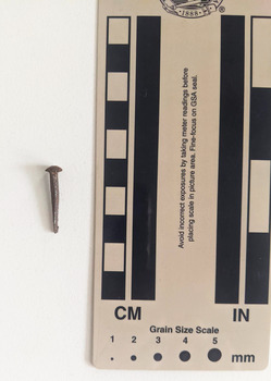 Corroded nail with a round head and rectangular shaft narrowing to a blunt tip.