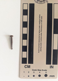 Corroded nail with a round head and rectangular shaft narrowing to a blunt tip.