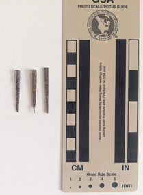 Three corroded nails with rectangular shaft narrowing to a pointed tip.