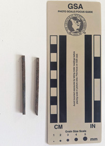 Two corroded nails with a square shaft end to end.