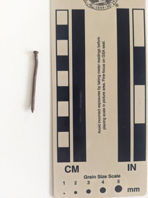 Corroded nail rounded and consistent in diameter to a pointed tip.