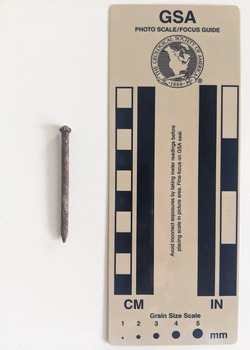 Corroded nail rounded and consistent in diameter to a pointed tip.