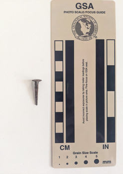 Corroded tack with rectangular shaft that narrows to a pointed tip.