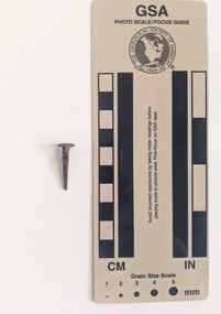 Corroded tack with rectangular shaft that narrows to a pointed tip.
