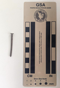 Corroded nail with a rounded shaft consistent in diameter to a pointed tip.
