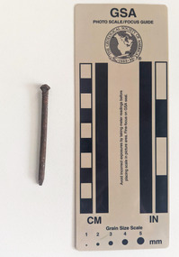 Corroded nail with a rounded shaft consistent in diameter to a pointed tip.