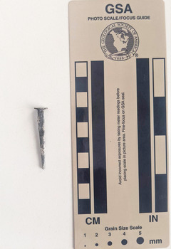 Corroded tack with square shaft narrowing to a blunt tip. 