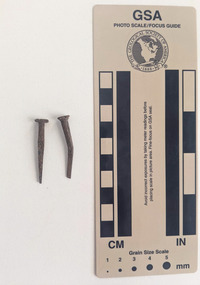Collection of two nails with a rectangular shaft narrowing to a blunt tip.