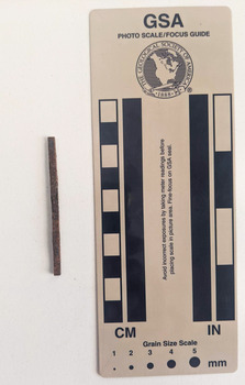 Nail with square shaft end to end.