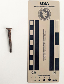 Corroded nail with rectangular shaft narrowing to a blunt tip. 