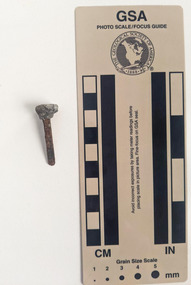 Corroded tack with rectangular shaft narrowing to a blunt tip. The head is covered with lead.