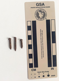 Three corroded nails with rounded shaft consistent in diameter to a pointed tip.