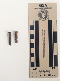 Two corroded screws with circular narrowing to a pointed tip. 