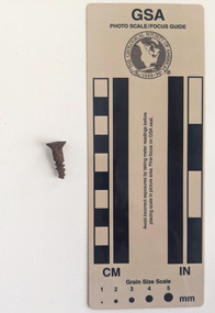 Corroded screw with circular narrowing to a pointed tip. 