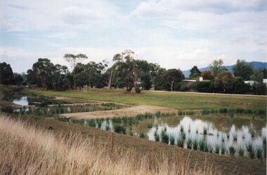 Photograph, Croydon Wetlands - Norton Road end, late 1999