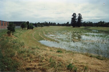 Photograph, Croydon Wetlands Flood January/February 2000