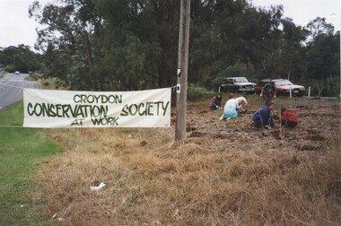Photograph, Planting at Mt Dandenong Road Croydon Median Strip 18/5/97