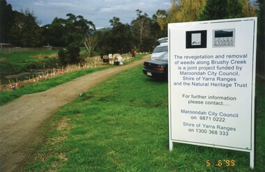 Photograph, Planting along Brushy Creek Croydon 5/6/99
