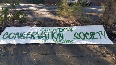 Photograph, AFL Community Outreach Planting at Ringwood Lake Park 2019