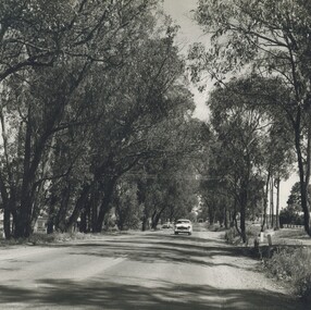 Photograph, Croydon Road, Croydon 1966