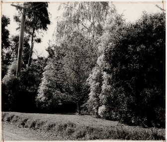 Photograph, Barina Crescent Croydon 1966