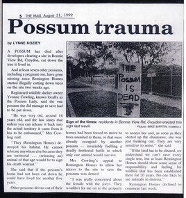 Newspaper, Possum Trauma - The Mail August 31, 1999