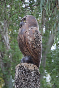 Sculpture, Owl wooden sculpture at Ringwood Lake Croydon 2023