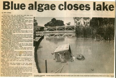Newspaper, Article 'Blue alegae closes lake', Croydon lake, Croydon