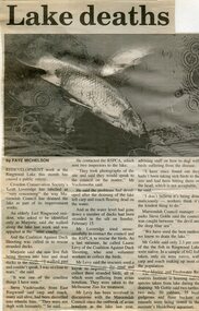 Newspaper, Article 'Lake deaths anger public' - Ringwood Lake by Faye Michelson