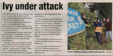 Newspaper, Article 'Ivy under attack' on removal of ivy from mature trees on Mt Dandenong Road, Croydon