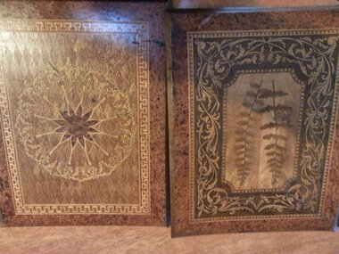 Book, Booklet of pressed ferns donated to Croydon Conservation Society, date unknown