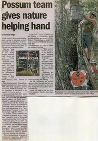 Newspaper, Article 'Possum team gives nature helping hand' by Rosemary Bolger, date and paper unknown