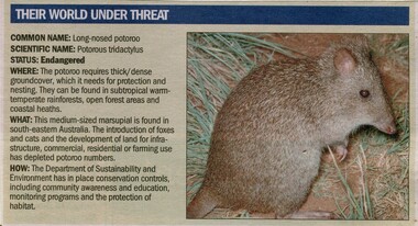 Newspaper, 'Their World Under Threat' - paper, date and author unknown