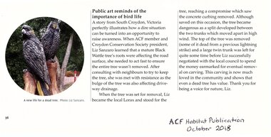 Article, 'Public art reminds of the importance of bird life', ACF Habitat Publication, October 2018