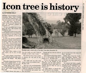 Newspaper, Article 'Icon tree is history' by Catherine Kelly, Maroondah Leader, 29 January 2002