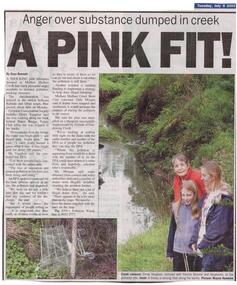 Newspaper, Newspaper article 'A PINK FIT!' by Goya Bennett, 8 July 2003