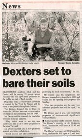 Newspaper, Article 'Dexters set to bare their soils' News, 2002, paper and author unknown
