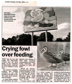 Newspaper, Article 'Crying fowl over feeding', Journal, 29 May 2001