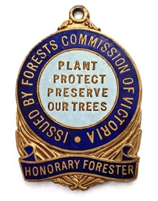 Badge - Honorary Forester badge