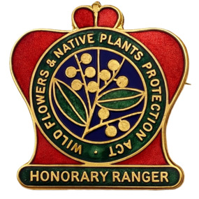 Badge - Honorary Ranger badge