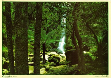 Work on paper - Forest Posters (seven)