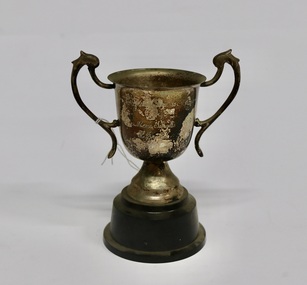 Award, 1954