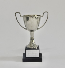 Award, 2004