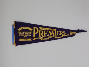 Flag, 1989