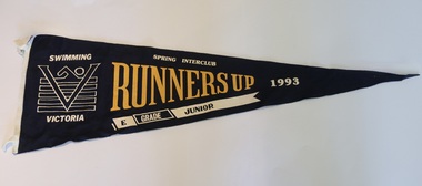 Flag, 1989-1993