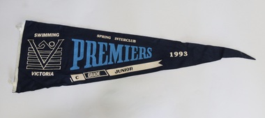 Flag, 1989-1993
