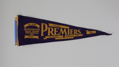 Flag, 1994