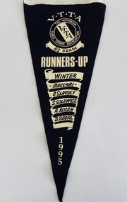 Flag, 1995